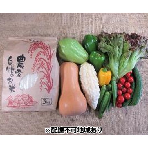 旬の野菜とお米のセット【配達不可:北海道・沖縄・離島】 詰合せ コシヒカリ 3kg