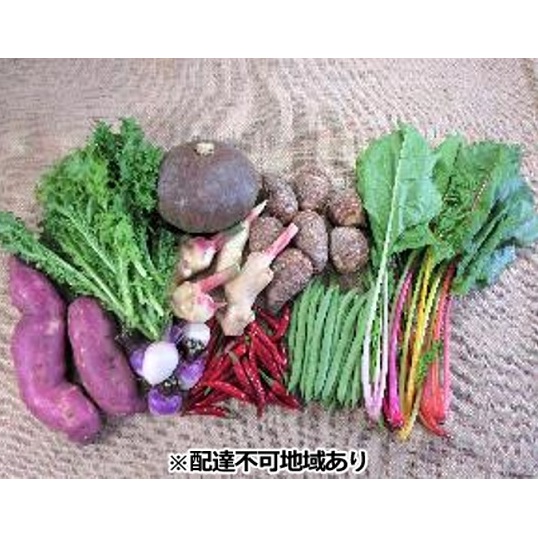 旬の野菜【M】セット【配達不可:北海道・沖縄・離島】 詰合せ