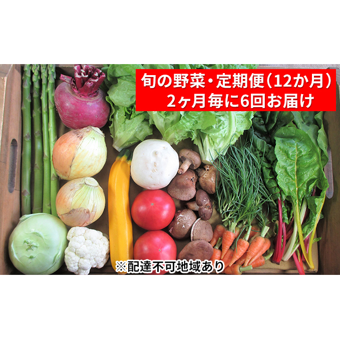 【2ヶ月毎に6回お届け】 旬の野菜・定期便(12か月) セット 詰め合わせ 季節 季節の野菜 有機質 肥料 農薬 減農薬 不使用 和野菜 西洋野菜 山菜 果物 冷蔵便 鮮度 お楽しみ