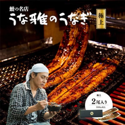 ヒロシのおすすめ!鰻の名店『うな雅』国産 手焼き 鰻【極上】かば焼き 2尾 約500g【配送不可地域:離島】【1675001】