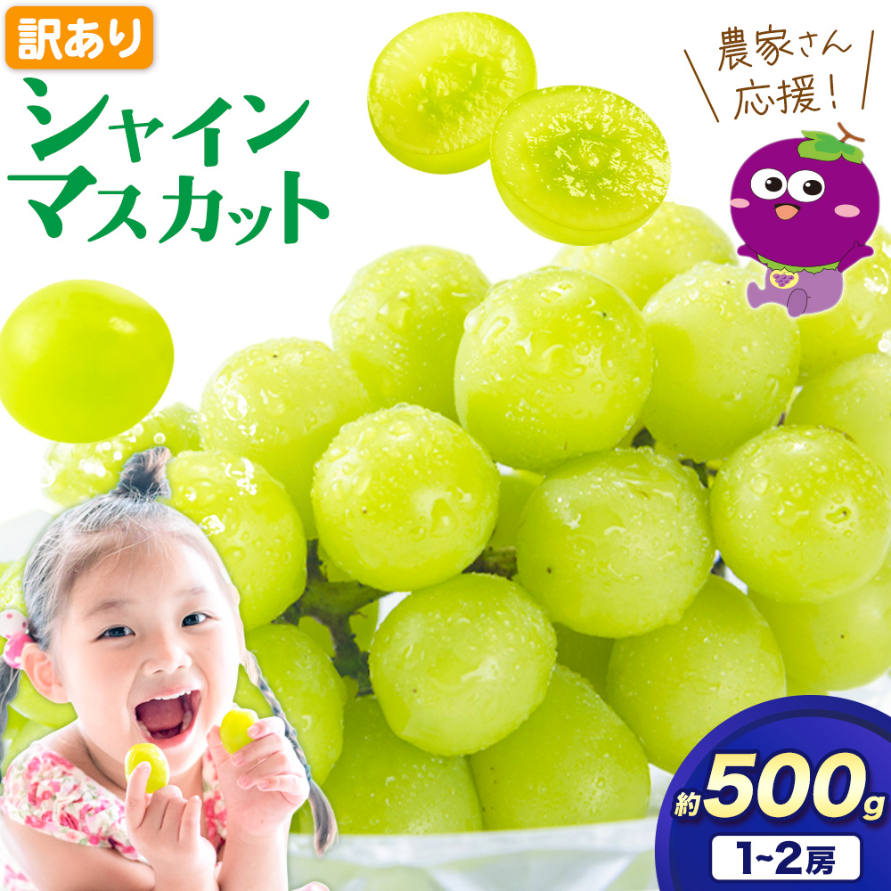 [数量限定]訳あり シャインマスカット 約500g [2025年8月上旬-8月下旬頃出荷]訳あり シャインマスカット マスカット ぶどう フルーツ 果物 大阪府 羽曳野市 シャイン 食べやすい---habikino_lcl_2_5---