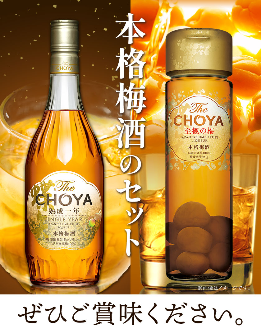 The CHOYA 熟成一年 700ml The CHOYA 至極の梅 650ml 計2本 セット 飲み比べ  羽曳野商工振興株式会社《30日以内に出荷予定(土日祝除く)》大阪府 羽曳野市 送料無料 梅酒 梅 酒 CHOYA チョーヤ チョーヤ梅酒 お酒 紀州  南高梅---habikino_hss_6_1--- | 大阪府羽曳野市 ...