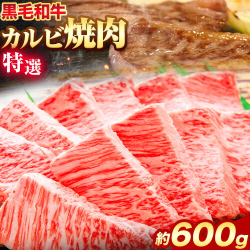 黒毛和牛 特選 カルビ 焼肉 600g エムエスエイ (株)[30日以内に出荷予定(土日祝除く)]大阪府 羽曳野市 送料無料 牛肉 牛 和牛 焼き肉用 焼き肉---habikino_msa_10_1---