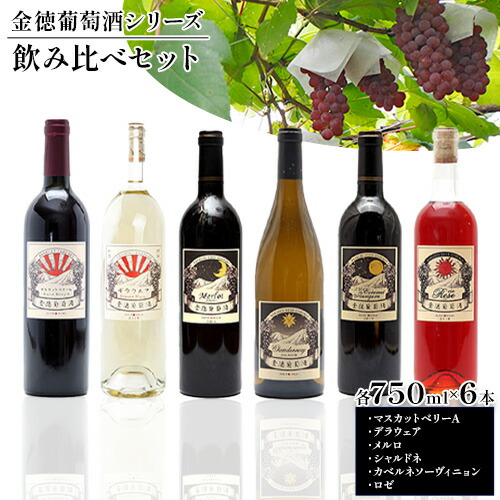 金徳葡萄酒 飲み比べセット マスカットベリーA デラウエア メルロ シャルドネ カベルネソーヴィニヨン ロゼ 各750ml×1本 計6本 株式会社河内ワイン[30日以内に出荷予定(土日祝除く)]大阪府 羽曳野市 ワイン 酒 アルコール 送料無料---habikino_kaw_6_1---