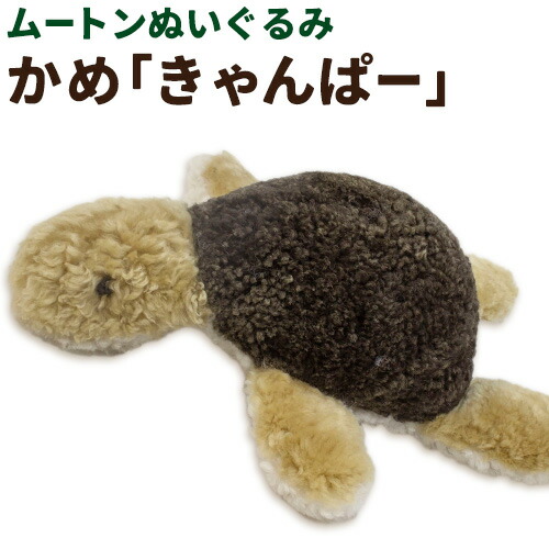 ムートン ぬいぐるみ かめ きゃんぱー 有限会社クラフトワークス[30日以内に出荷予定(土日祝除く)]大阪府 羽曳野市 プレゼント インテリア 羊 羊毛---habikino_cws_25_1---