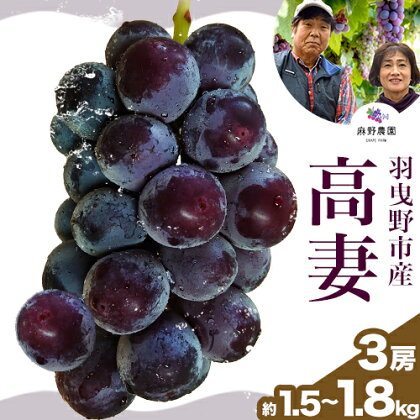 [先行予約]高妻 (種なしぶどう) 約1.5~1.8kg (3房) 麻野農園[8月上旬-9月上旬頃出荷]大阪府 羽曳野市 ぶどう 果物 フルーツ 葡萄---habikino_ane_3_1---