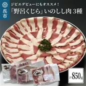 「野呂くじら」いのしし肉 3パックセット（計850g）