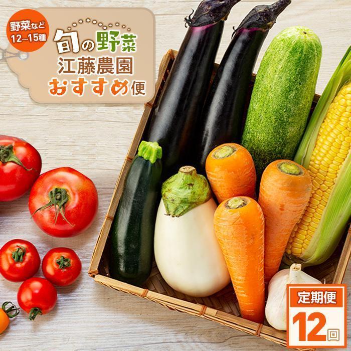 【定期便 全12回】江藤農園おすすめ 湯布院の旬の野菜(12~15種類!)詰め合わせ