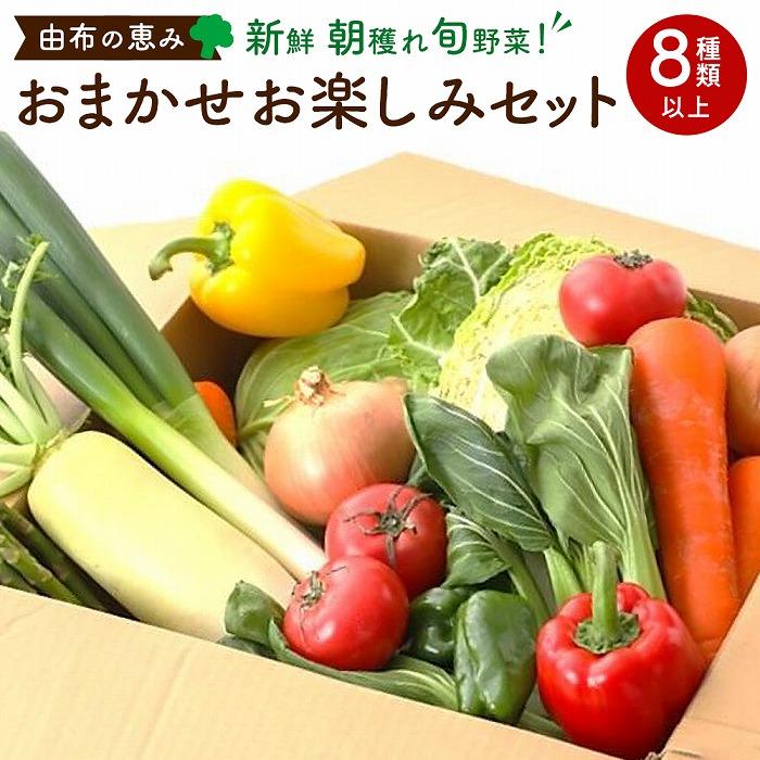 由布の恵み【新鮮 朝穫れ旬野菜!8種類以上!】おまかせお楽しみセット