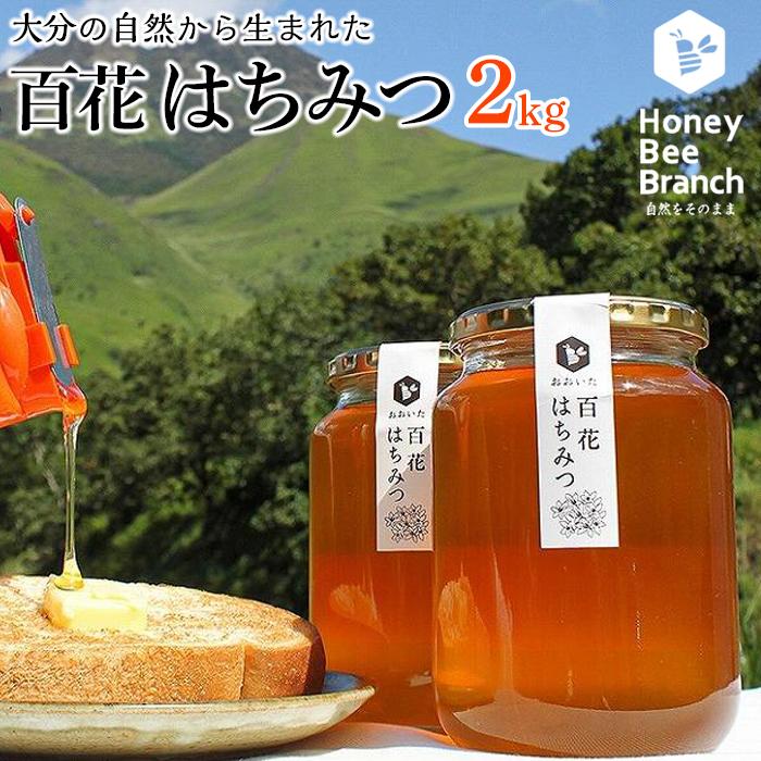 正規品国産天然蜂蜜　れんげ　3kg(1kg ×3） 大分県産 菓子/デザート