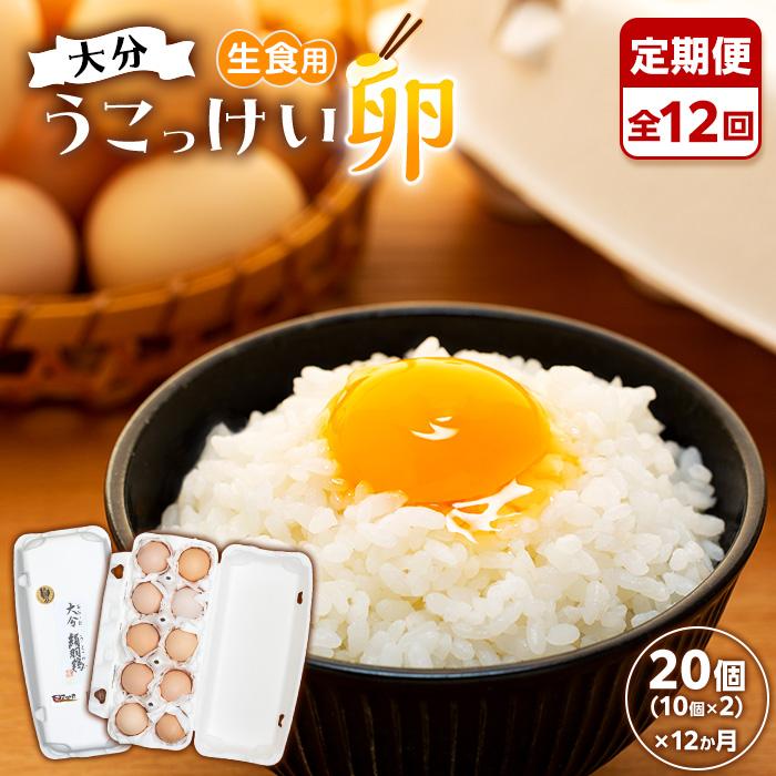 【定期便 全12回】大分うこっけい卵　生食用20個（10個×2）×12回