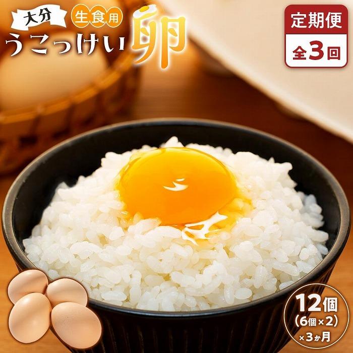 【定期便 全3回】大分うこっけい卵 生食用12個(6個×2パック)<一人暮らしの方におすすめ♪>