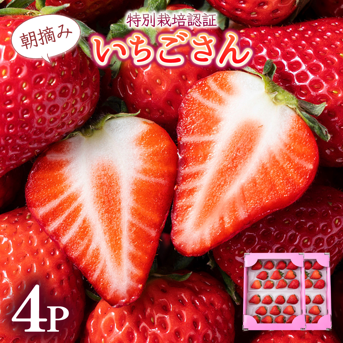 [先行予約・数量限定]佐賀県人気NO1「いちごさん」約1kg(235g×4p)B-1091-KN