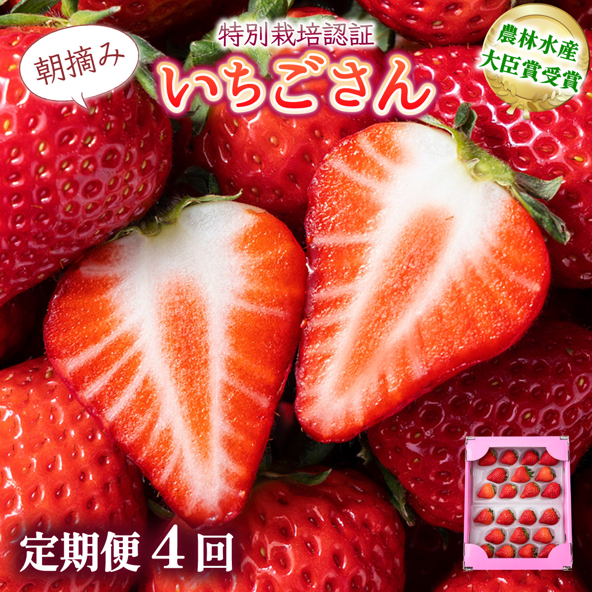 [先行予約]数量限定!佐賀県人気No.1苺"いちごさん" 4回定期便 (1回 235g×4p 約1kg)