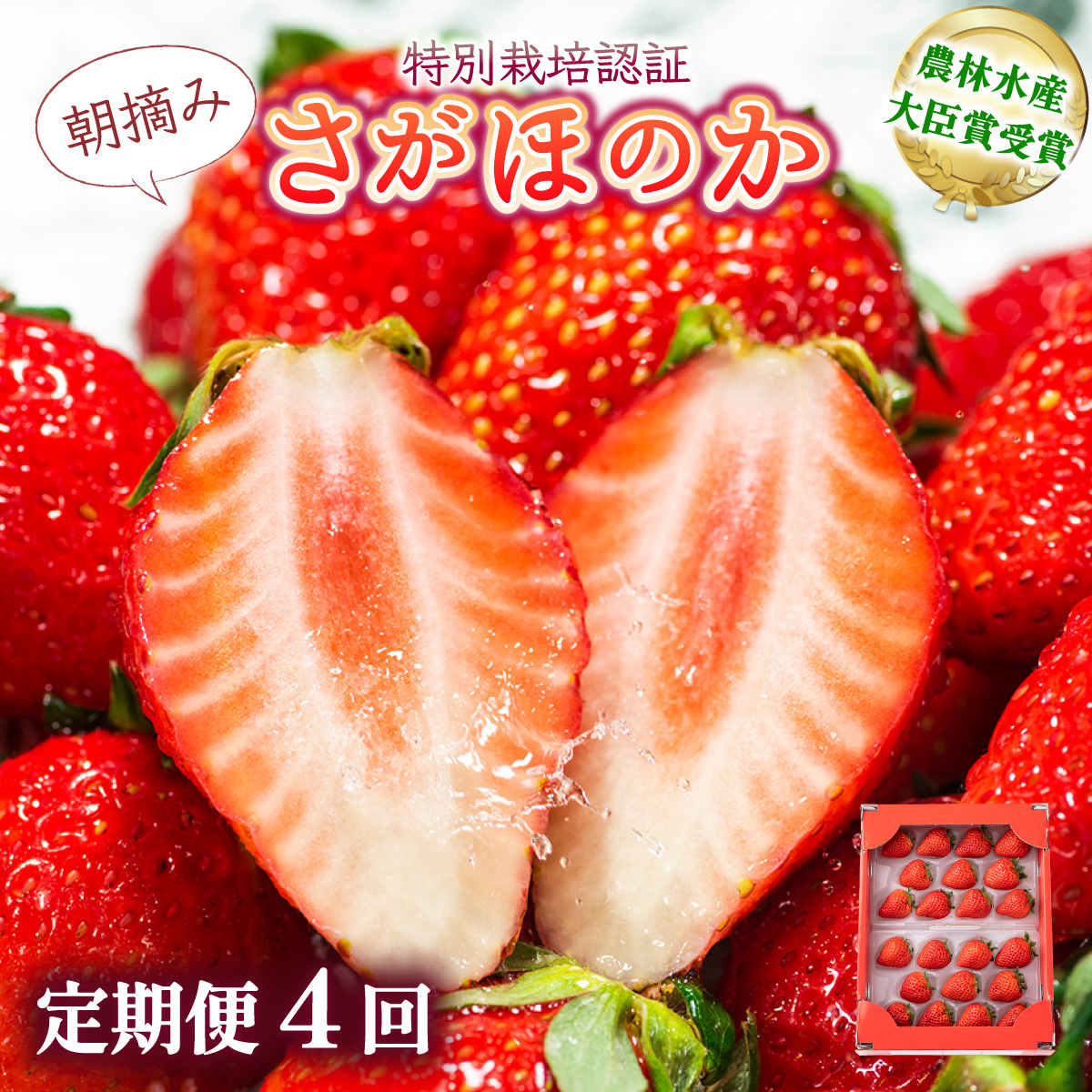 [先行予約]数量限定!あまい果汁溢れる!最高級品質"さがほのか" 4回定期便 (1回 235g×4p 約1kg)