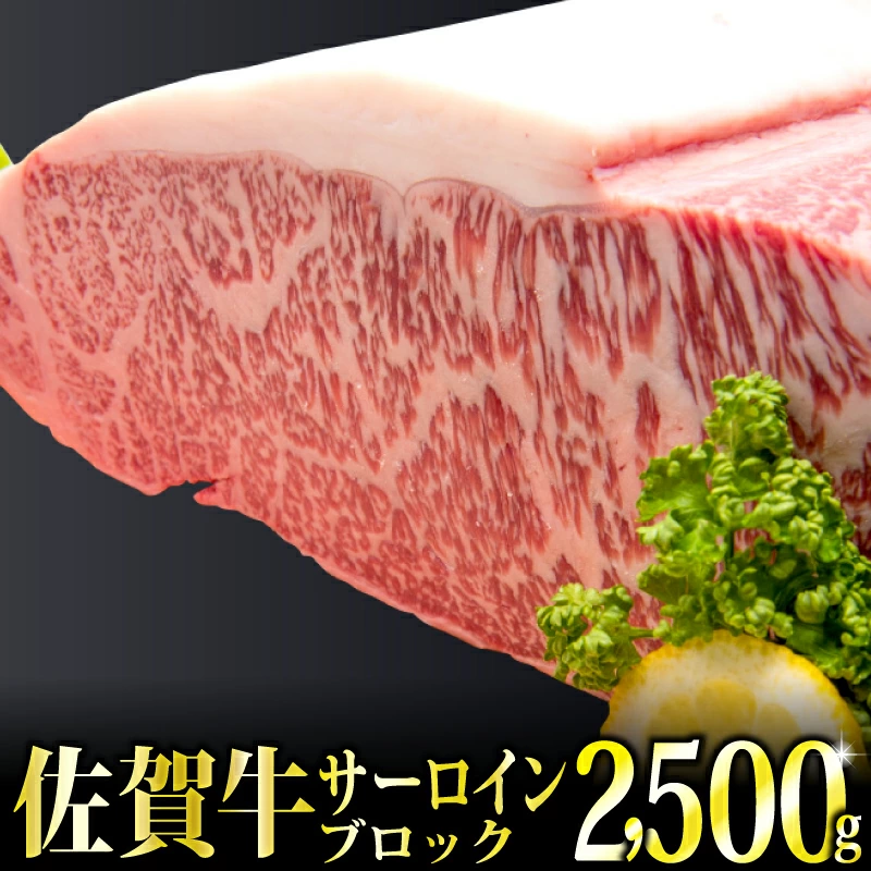 「佐賀牛」サーロインブロック2.5kg