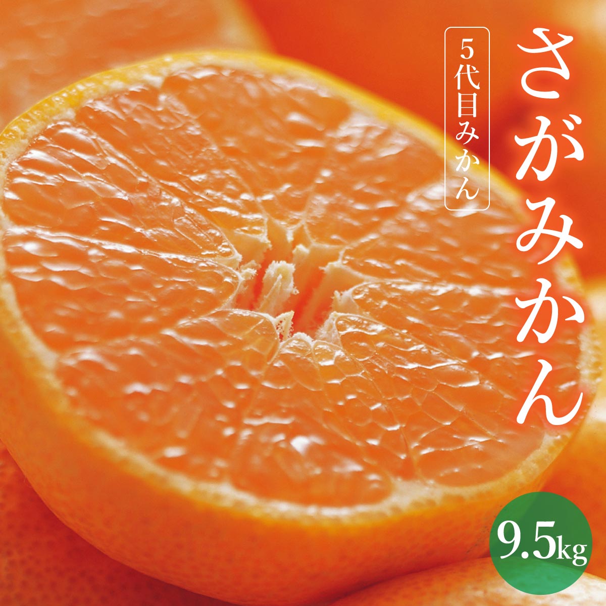 【期間限定】さがみかん (5代目みかん9.5kg)【温州みかん 甘い 濃厚 ジューシー コク 完熟 熟成みかん 蔵出し 蔵入り 柑橘 密柑 ギフト 果物 フルーツ 佐賀県産 佐賀県 大和 太良 石橋果樹園 人気】【C-649-IK】