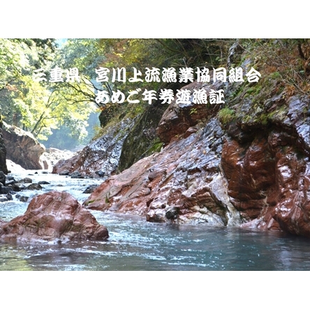三重県 宮川上流漁業協同組合 あめご 年券 遊漁証 / 釣り 川釣り アウトドア 三重県 大台町