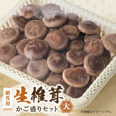 贈答品用椎茸かご盛りセット(大)【配送不可地域:離島】【1201271】