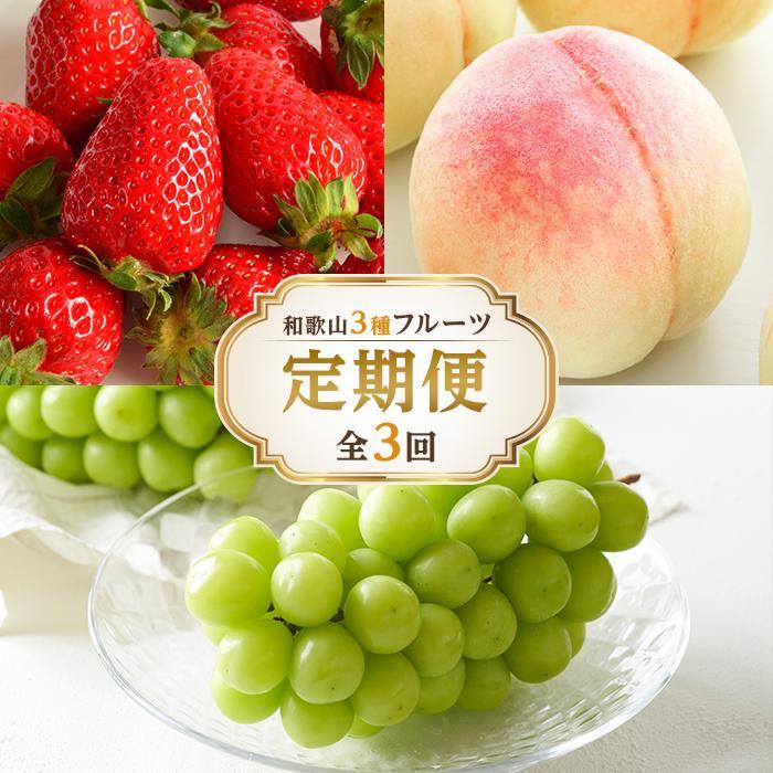【全3回】和歌山厳選フルーツ定期便（ いちご 桃 シャインマスカット ）［MG16］