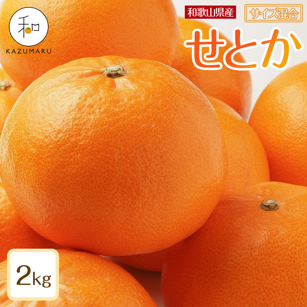 森本農園の手選別 せとか 約2kg 和歌山県産 サイズ混合 ［北海道・沖縄・離島配送不可］［2026年2月上旬から順次発送予定］［RN129］