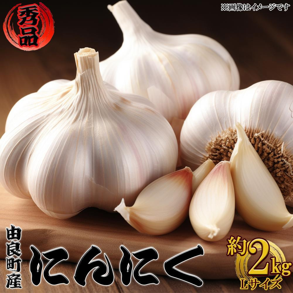 由良町産にんにく 秀品  Lサイズ  約2kg(1kg×2)【SL19】