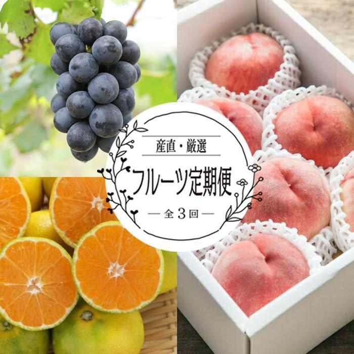 【定期便全3回】産直・厳選フルーツ定期便【TM190】