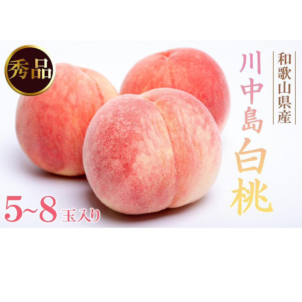 和歌山県産 川中島白桃 5～8玉入り 秀品 先行予約［2026年7月下旬以降発送］［MG7］