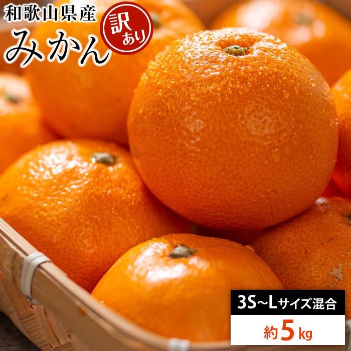 和歌山県産 糖度12.5度 以上 訳ありみかん5kg 3S ~L サイズ混合【MG57】