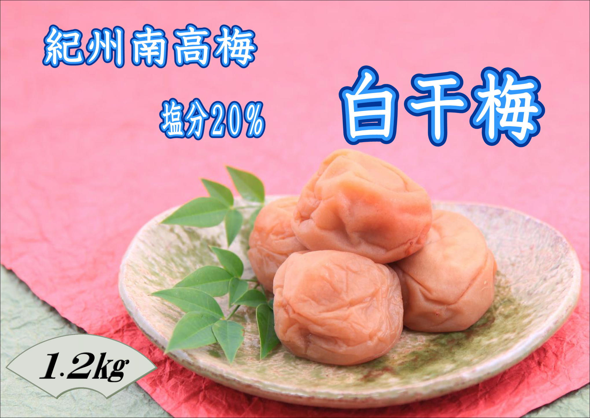 【家庭用】紀州南高梅 白干梅 1.2kg