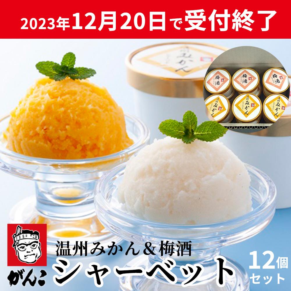 がんこ和歌山六三園の紀州シャ-ベットセット