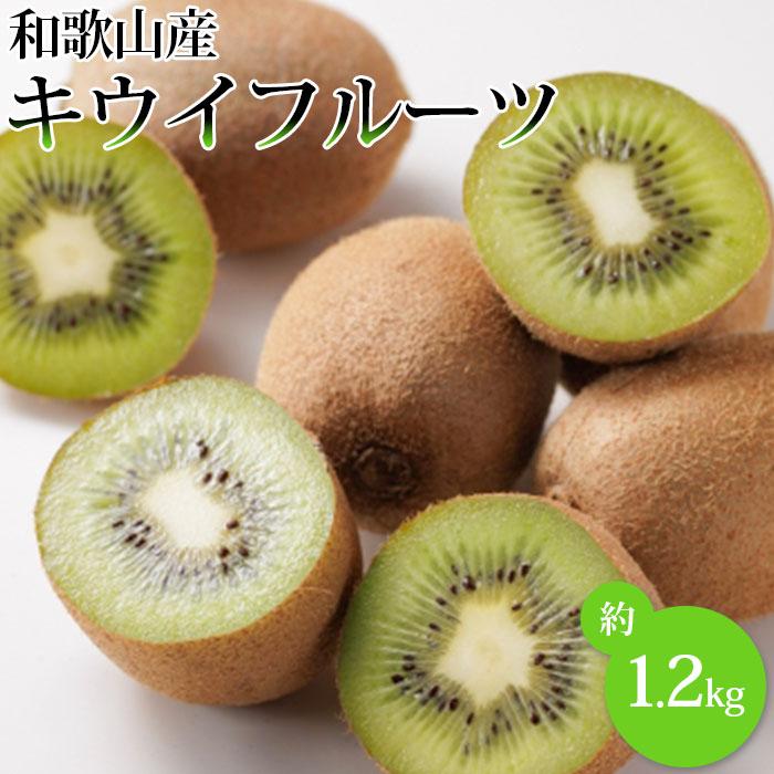和歌山産 キウイフルーツ 約1.2kg 秀品 ［US62］
