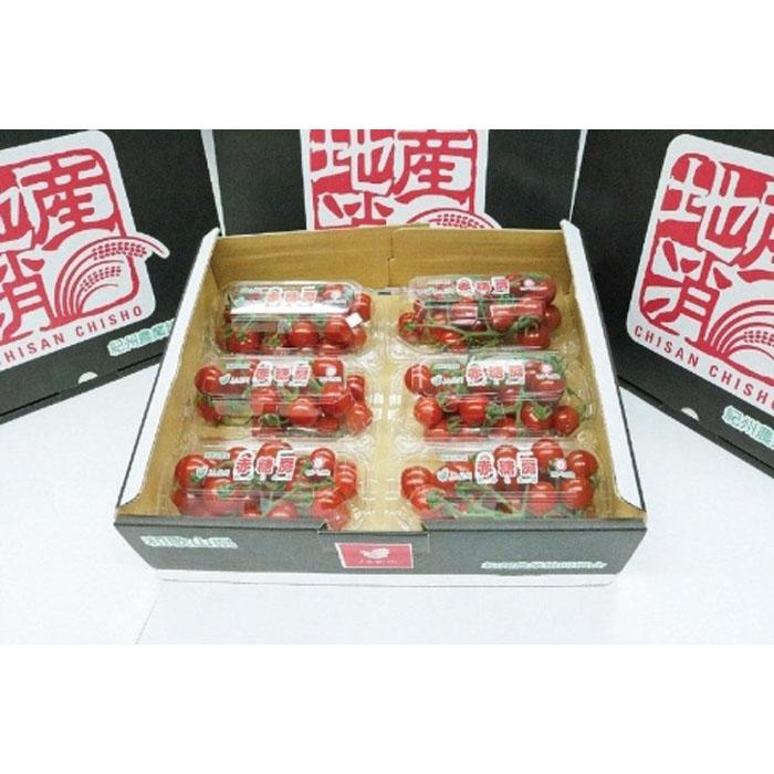 【先行予約】赤糖房(ミニトマト)【160g×6パック】