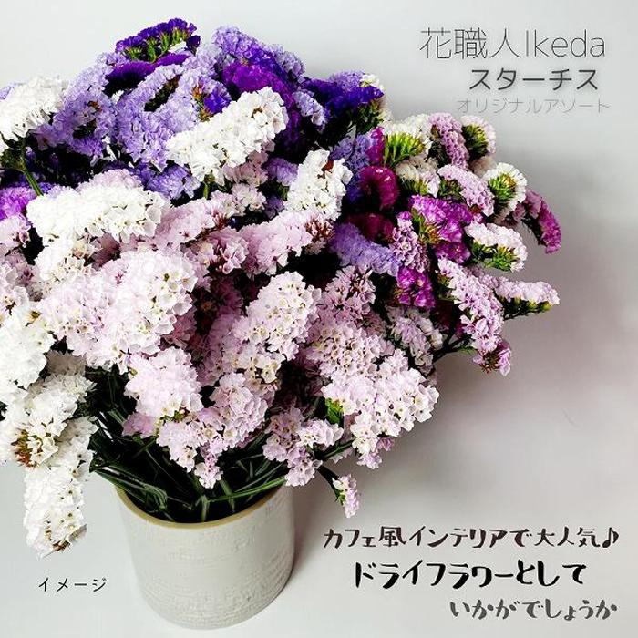 生花《スターチス》 花職人Ikeda（オリジナルアソート）