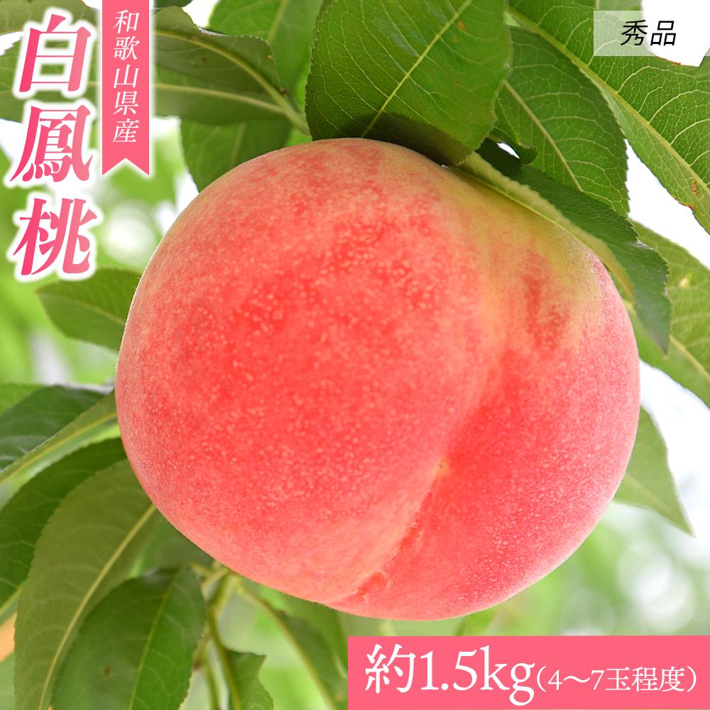 和歌山県産 白鳳 《秀品》 約1.5kg(4~7玉程度)【7月上旬より発送】 【MG30】