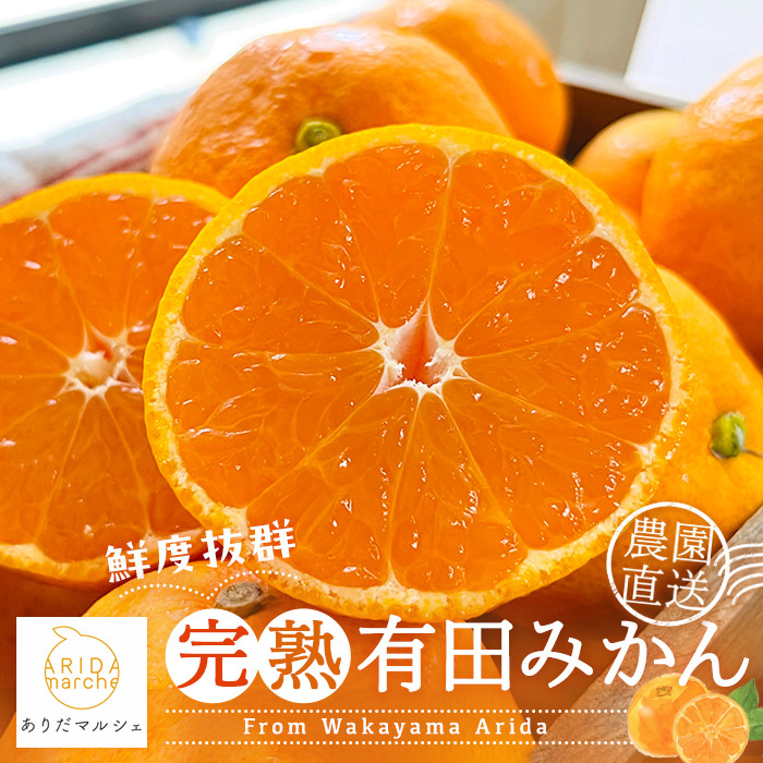 農家直送 完熟 有田みかん 約3kg［先行予約 2025年12月発送 ］［MS10-2］