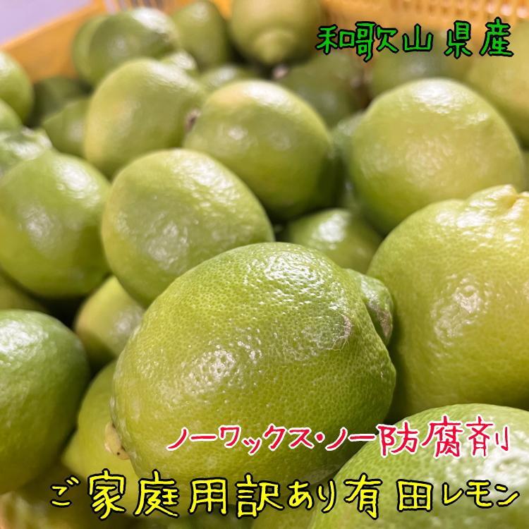 紀州和歌山 有田レモン（ご家庭用）約1.5kg ［先行予約］［国産］［農園直送］［ノーワックス・ノー防腐剤］［MS69］