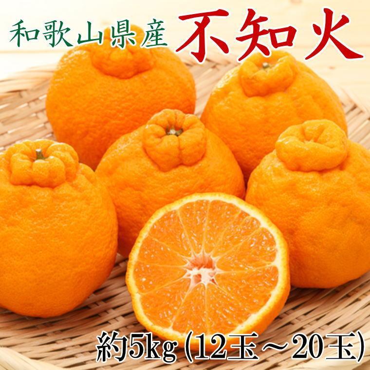 和歌山県産不知火約5kg（12玉～20玉おまかせ）2L～5Lサイズ★2026年2月下旬頃より順次発送［TM131］