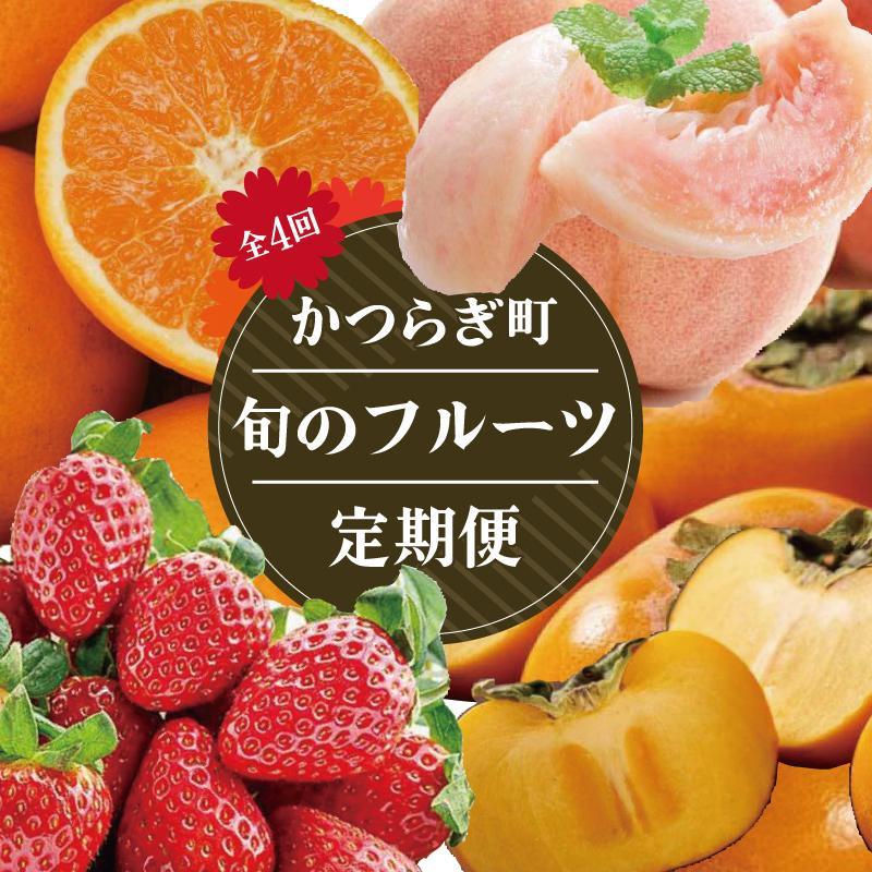 【定期便4回】フルーツ王国かつらぎ町よりお届け!旬のフルーツ定期便【KG11】