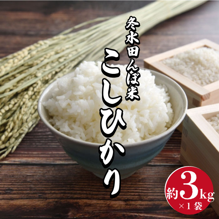 V-12 【令和5年度産】冬水田んぼ米 コシヒカリ3kg