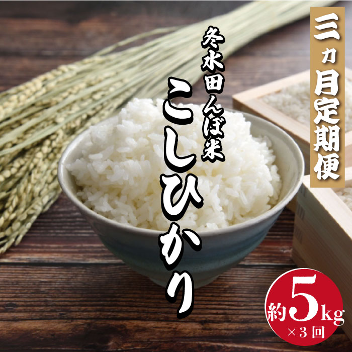 V-20 【3ヶ月定期便】冬水田んぼ米 コシヒカリ5kg 令和5年度産