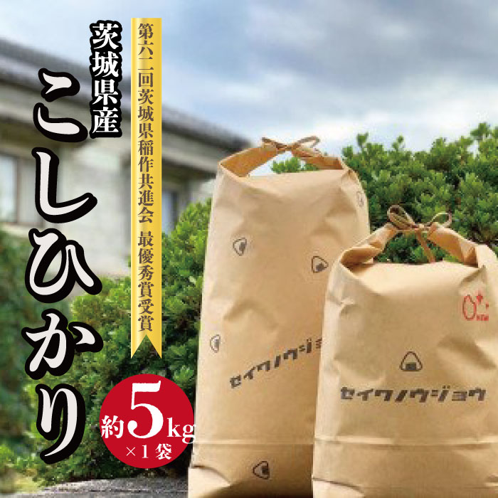 AF-5 【令和6年度】茨城県産 コシヒカリ 5kg