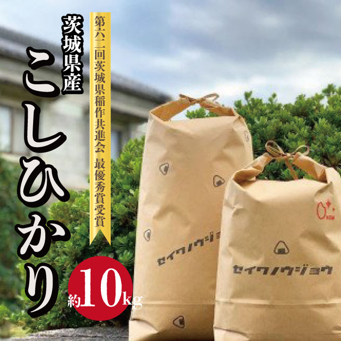 AF-6 【令和6年度】茨城県産 コシヒカリ 10kg