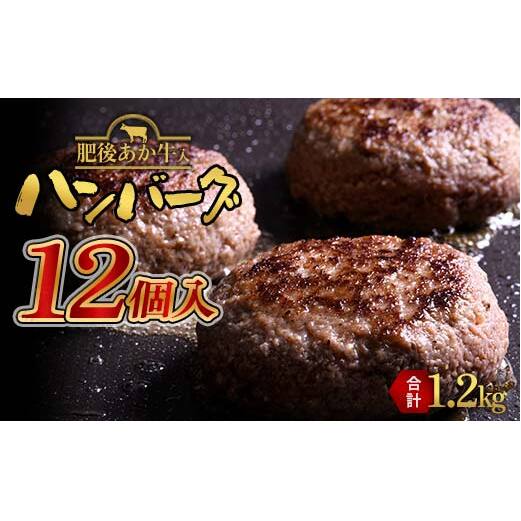 FKK19-997_あか牛入りハンバーグ100g×12個 牛 ハンバーグ 牛肉 ビーフ 肉 食品