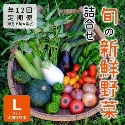 【発送月固定定期便】『大阪能勢産』べじたぶるぱーくの新鮮野菜詰合せLセット(10種類) 上旬全12回【配送不可地域:離島】【4062848】