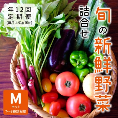 【発送月固定定期便】『大阪能勢産』べじたぶるぱーくの新鮮野菜詰合せMセット(7~8種類)上旬全12回【配送不可地域:離島】【4062849】