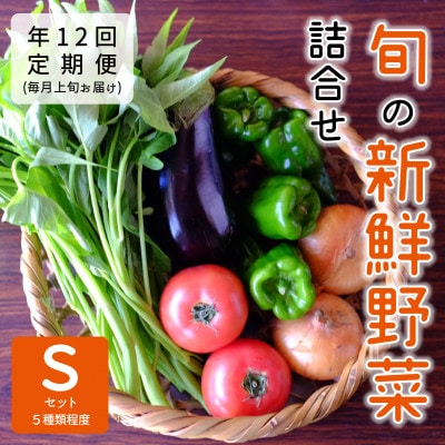 【発送月固定定期便】『大阪能勢産』べじたぶるぱーくの新鮮野菜詰合せ Sセット(5種類)上旬全12回【配送不可地域:離島】【4062852】