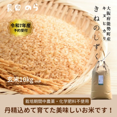 令和7年産きぬひかり「きねのしずく」10kg(玄米)栽培期間中農薬・化学肥料不使用【1637837】