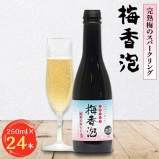 ＜完熟梅のスパークリング＞　梅香泡(うめかほう)　24本入【1033663】