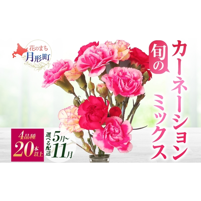 <選べる配送月> 北海道 カーネーション ミックス 4品種 20本以上 花 花束 切花 ブーケ 旬 季節 詰め合わせ 生花 フラワー アレンジメント 産地直送